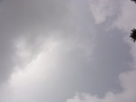 46819DSC02157.JPG