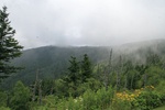 57861IMG_9487.JPG