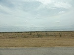 36066DSC02786.JPG