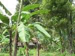 14582IMG_4949.JPG