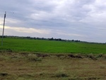 56033CIMG6722.JPG