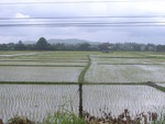 33634RIMG0299.JPG