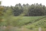 2024-08-05_16-08-53_C36B9D62-C176-49F6-A3F8-73F201C11978.jpeg