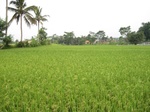 15355IMG_4199.JPG