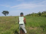 8831gt002-cropland-rainfed.gif