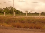 54989Berau (29).JPG