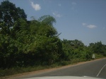 8988RIMG0064.JPG