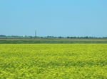29170CIMG0652.JPG
