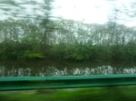 52090CIMG0106.JPG