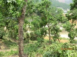 53402CIMG6717.JPG