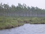 4652007-08-05_09-45-33_small.jpg