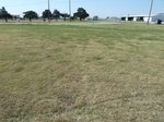 39245MEDF20110818S.JPG