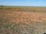 40350MINC20111019GPS.JPG