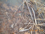9513DSCN0960.JPG