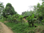 32095IMG_5593.JPG
