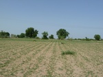 19127P1000972.JPG