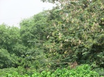 43625CIMG0488.JPG