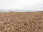 35889DSC02657.JPG