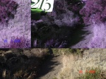 11006gt-216-wetland-dry-river-bed-02.jpg