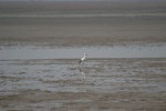 4137IMG_8774.JPG