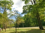 57130CIMG2623.JPG