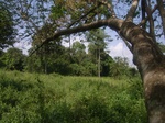 8967RIMG0042.JPG