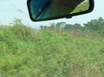 51567P1000745.JPG