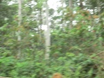 48366CIMG4703.JPG
