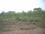 4064RIMG0368.JPG