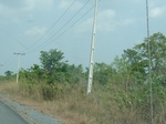 51548P1000718.JPG