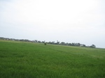 14351IMG_4693.JPG