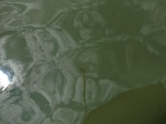 58270CIMG2717.JPG