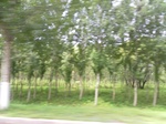 54536SAM_0071.JPG