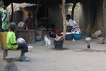 26781Vounaloum Cameroon 016.jpg