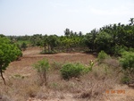 51827Tank ID 1800054 Chinnahalli 1.JPG