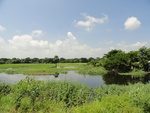 24621DSC00840.JPG