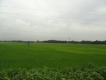 22072DSC00305.JPG