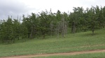 34138CIMG2349.JPG