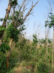 53510CIMG6850.JPG