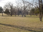 10079DSC02805.JPG