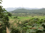 53958CIMG4330.JPG