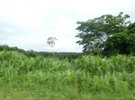 25854P1020273.JPG