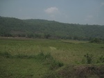 28303IMG_5105.JPG