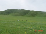 276002003-Q10.JPG