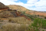 28652P1010669-1.JPG