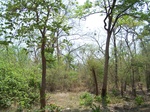 1788627042008(21).JPG