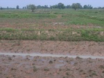 34629RIMG0096.JPG