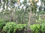 14405IMG_4749.JPG