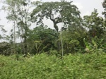 49329CIMG5666.JPG