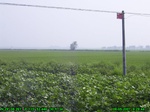1238R0015068_tag.jpg